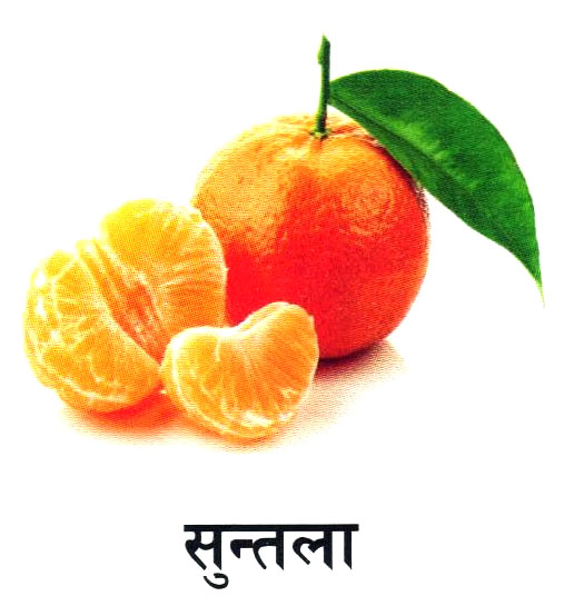 Fruit 1