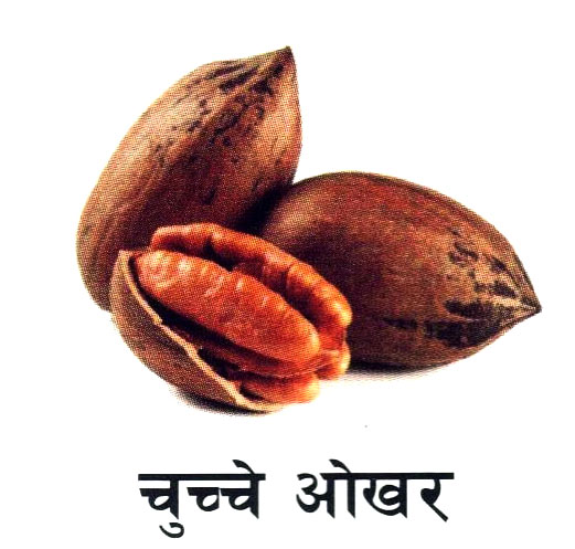 Fruit 10