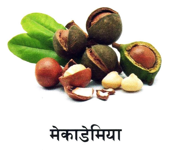 Fruit 2