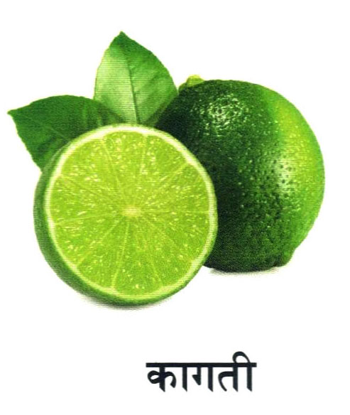 Fruit 7