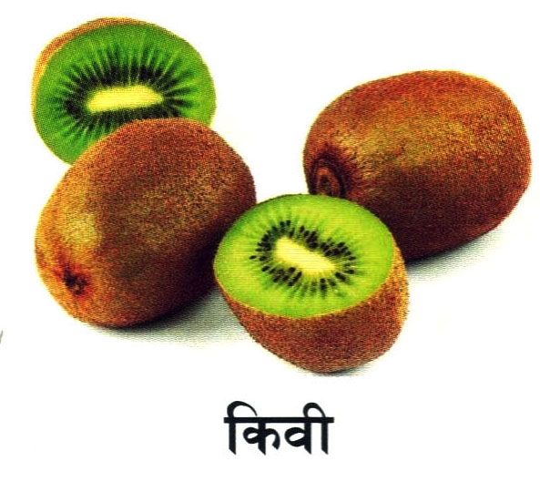 Fruit 8