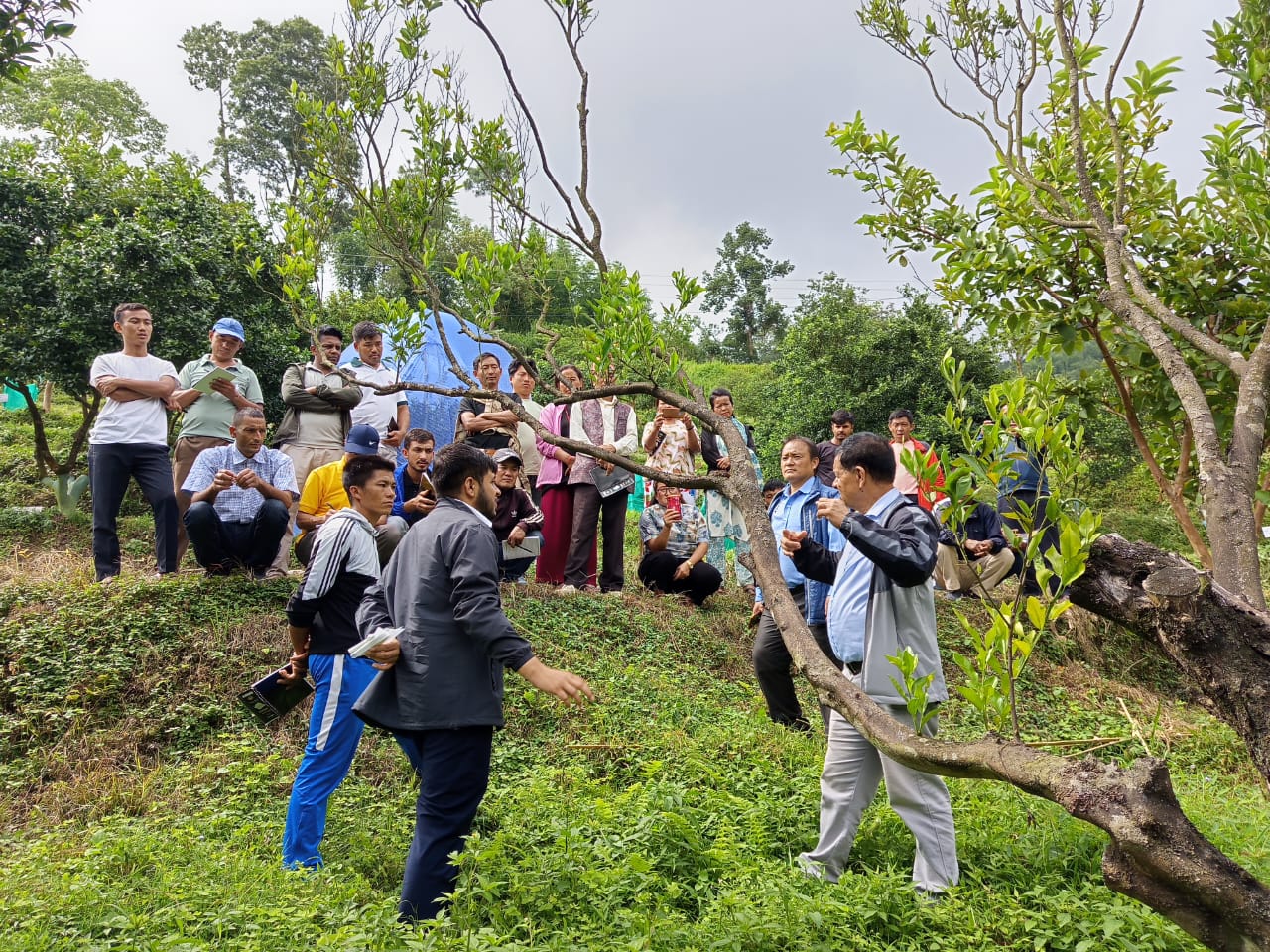 Lead Farmers POP Trainning